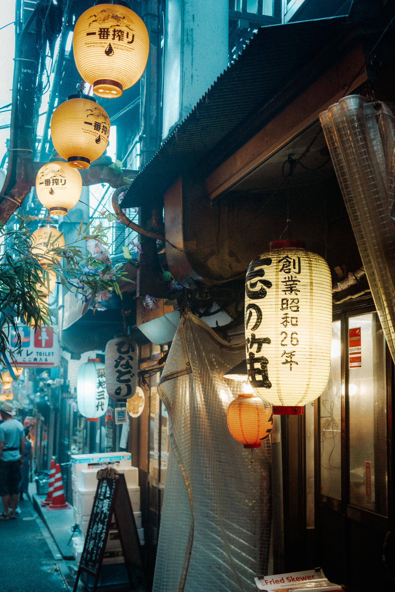 Lantern-lit storefront at night